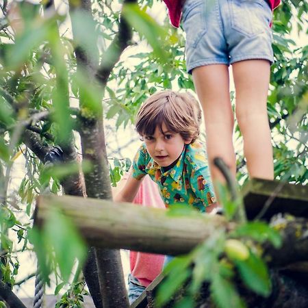 De Schaapskooi Villa Kasterlee Eksteriør billede